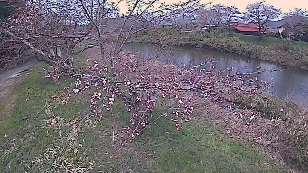 城山　法勝寺川 10k540 左岸