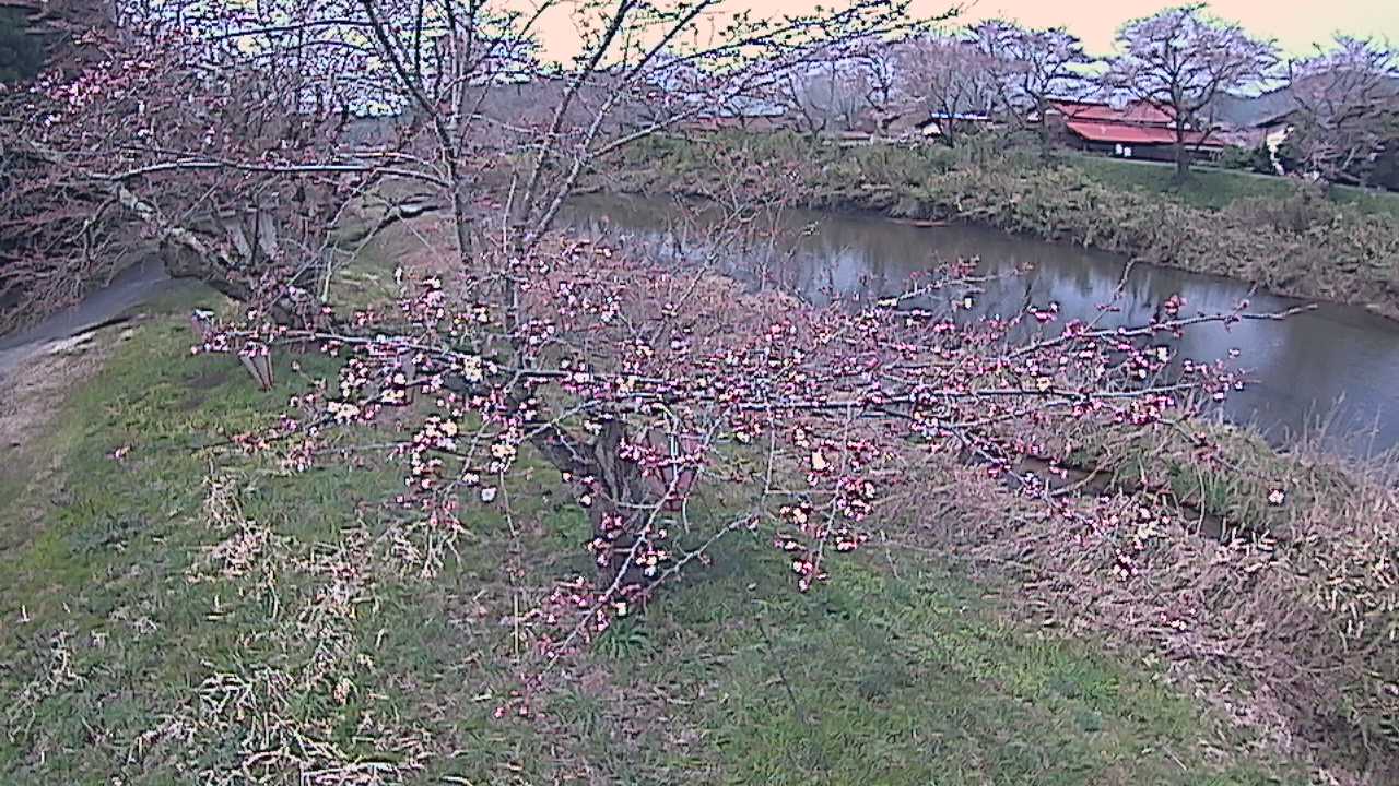 城山　法勝寺川 10k540 左岸