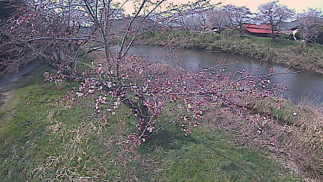 城山　法勝寺川 10k540 左岸