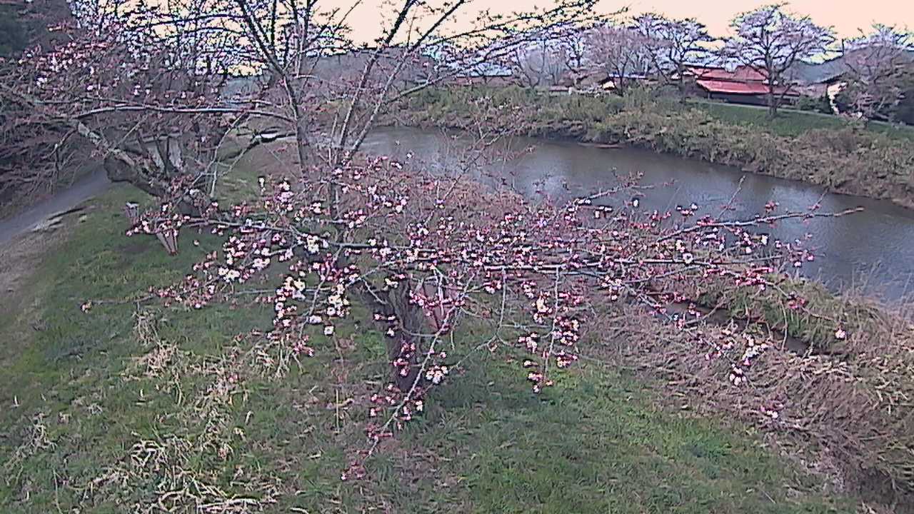 城山　法勝寺川 10k540 左岸