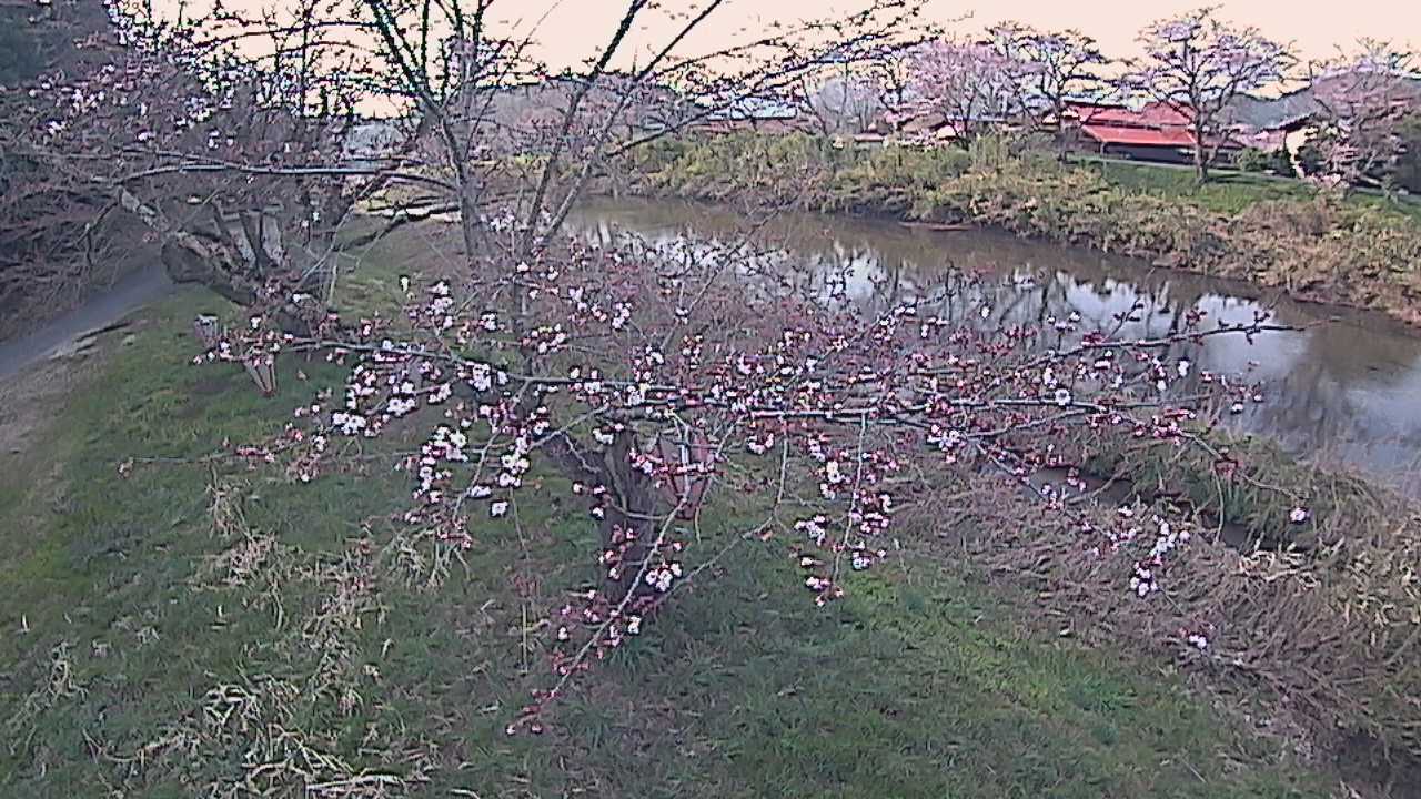 城山　法勝寺川 10k540 左岸