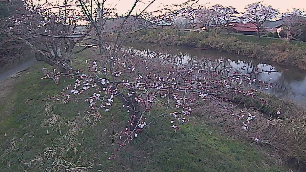城山　法勝寺川 10k540 左岸