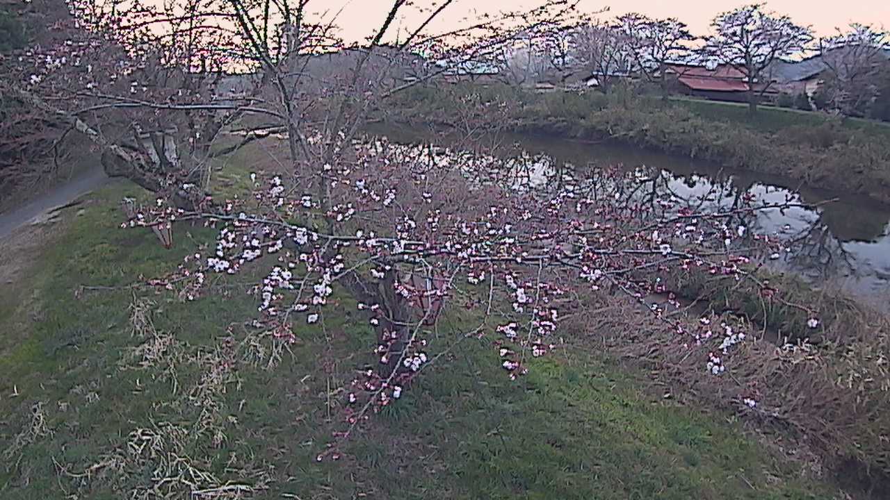 城山　法勝寺川 10k540 左岸