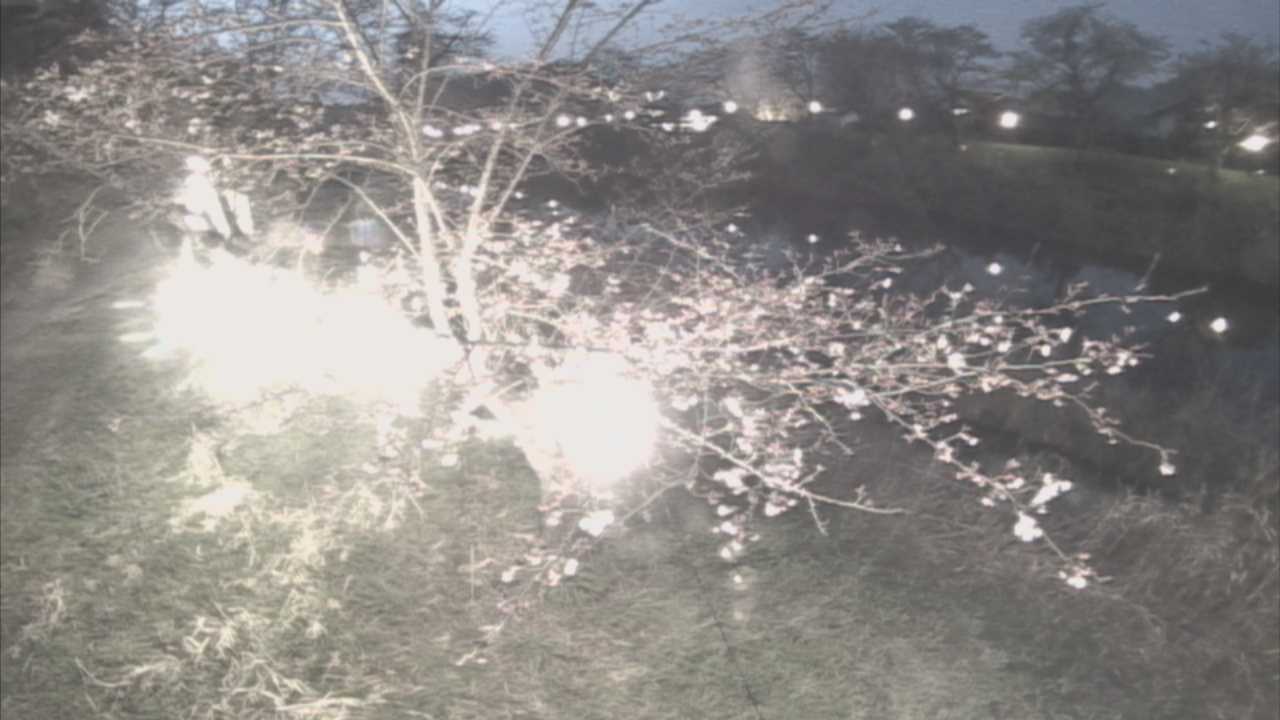 城山　法勝寺川 10k540 左岸