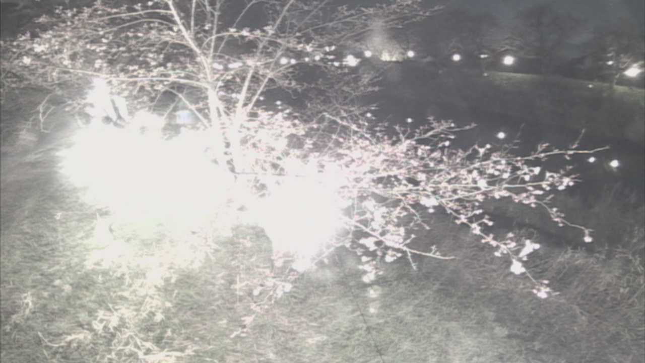 城山　法勝寺川 10k540 左岸