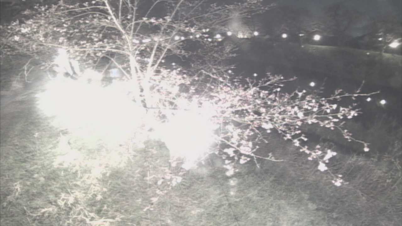 城山　法勝寺川 10k540 左岸