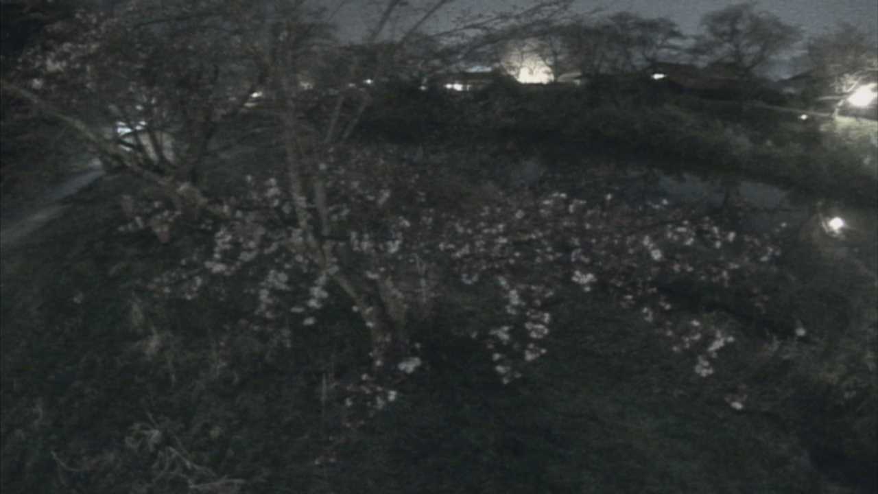 城山　法勝寺川 10k540 左岸