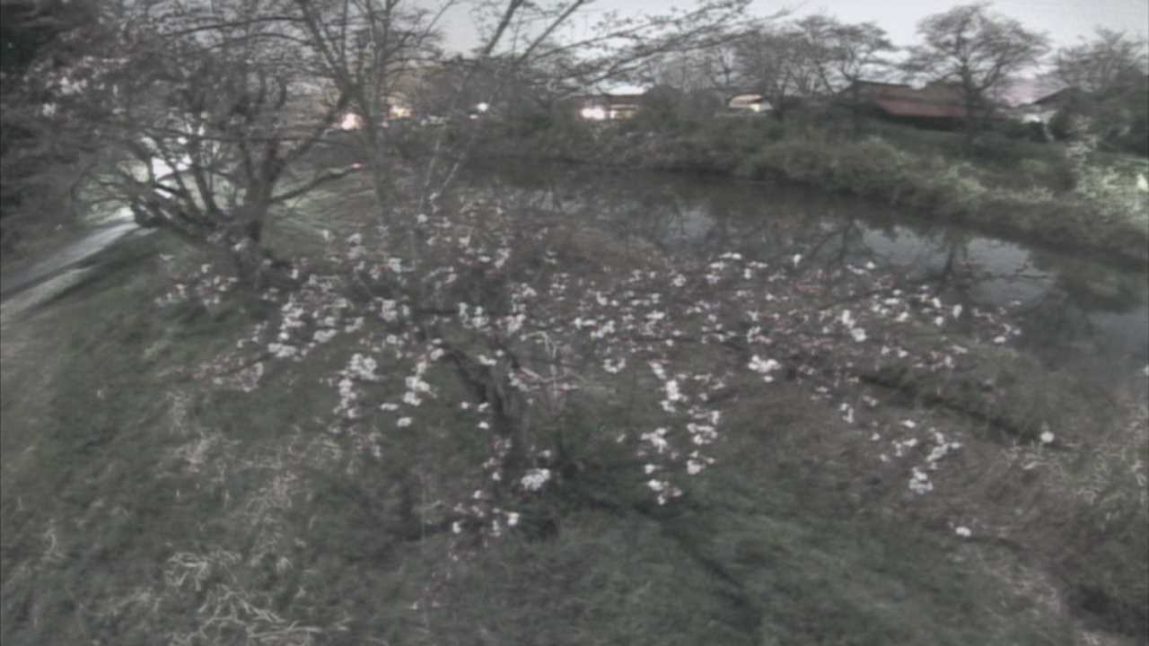 城山　法勝寺川 10k540 左岸