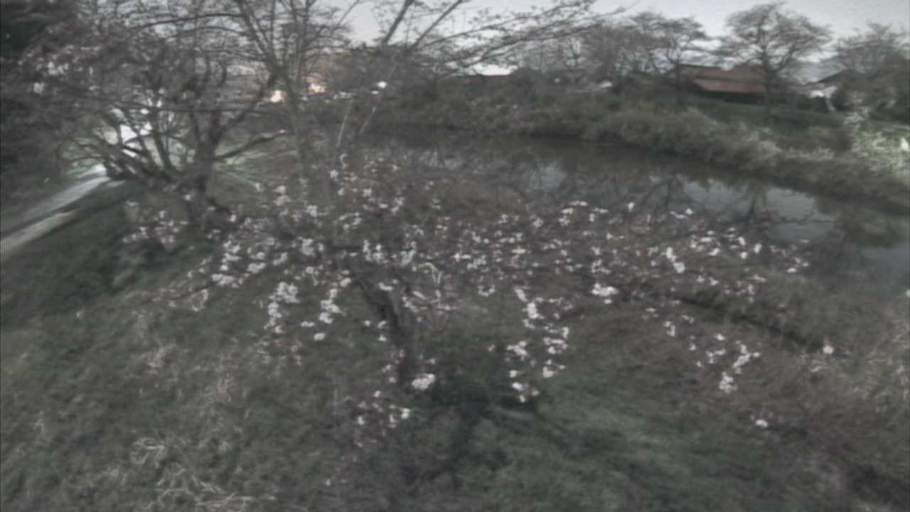 城山　法勝寺川 10k540 左岸