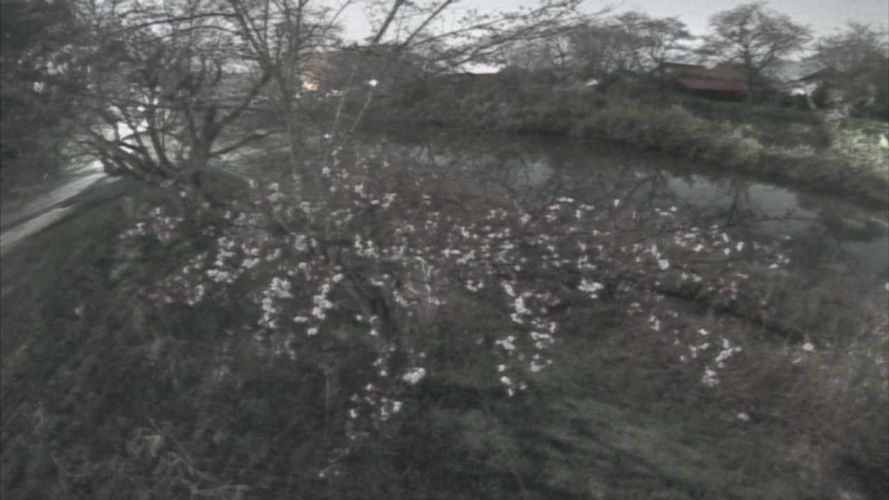 城山　法勝寺川 10k540 左岸