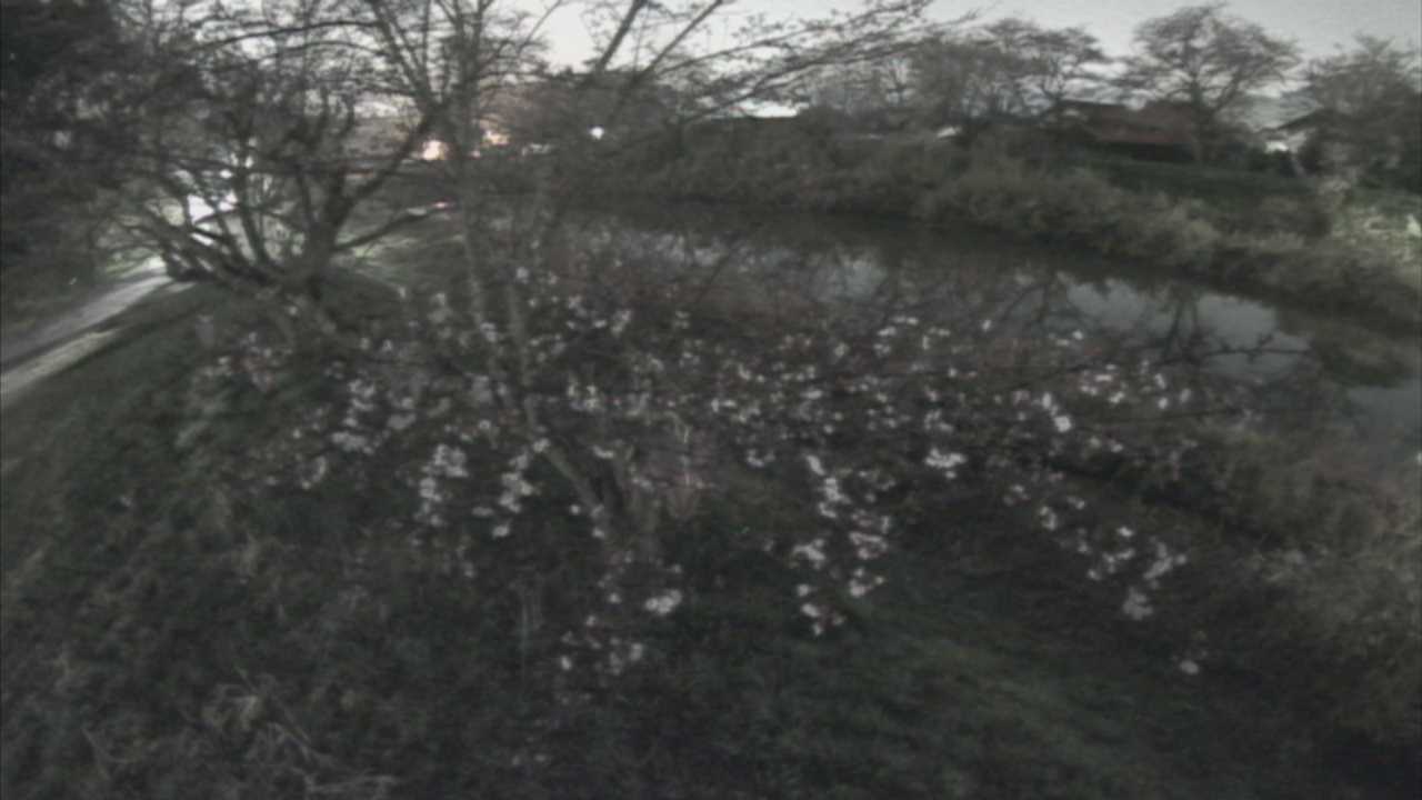 城山　法勝寺川 10k540 左岸