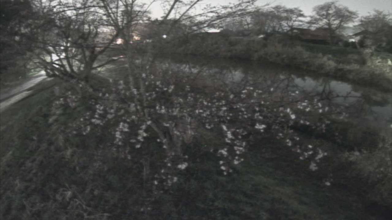 城山　法勝寺川 10k540 左岸