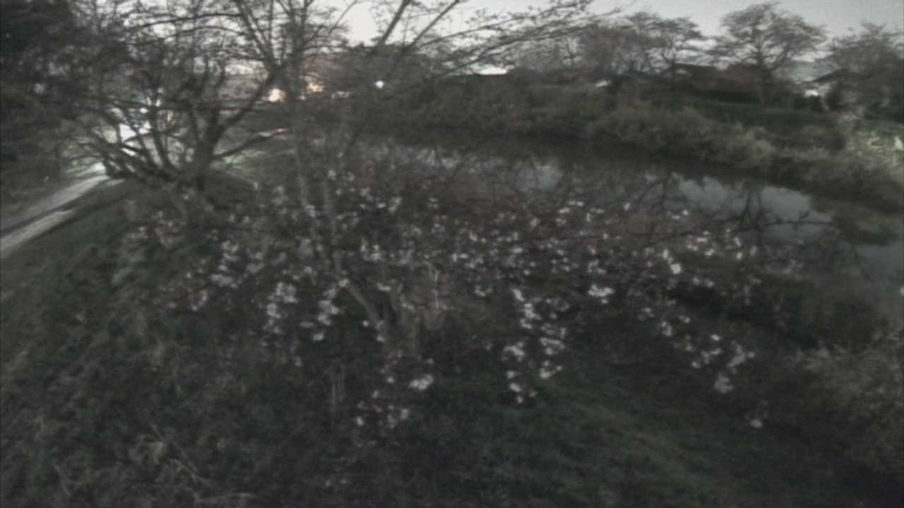 城山　法勝寺川 10k540 左岸