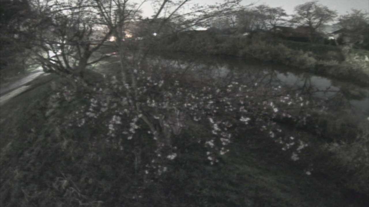 城山　法勝寺川 10k540 左岸