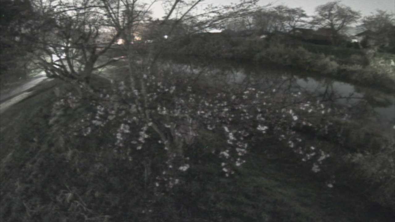 城山　法勝寺川 10k540 左岸