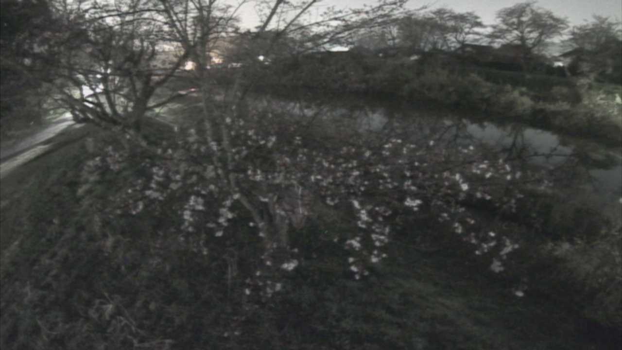 城山　法勝寺川 10k540 左岸