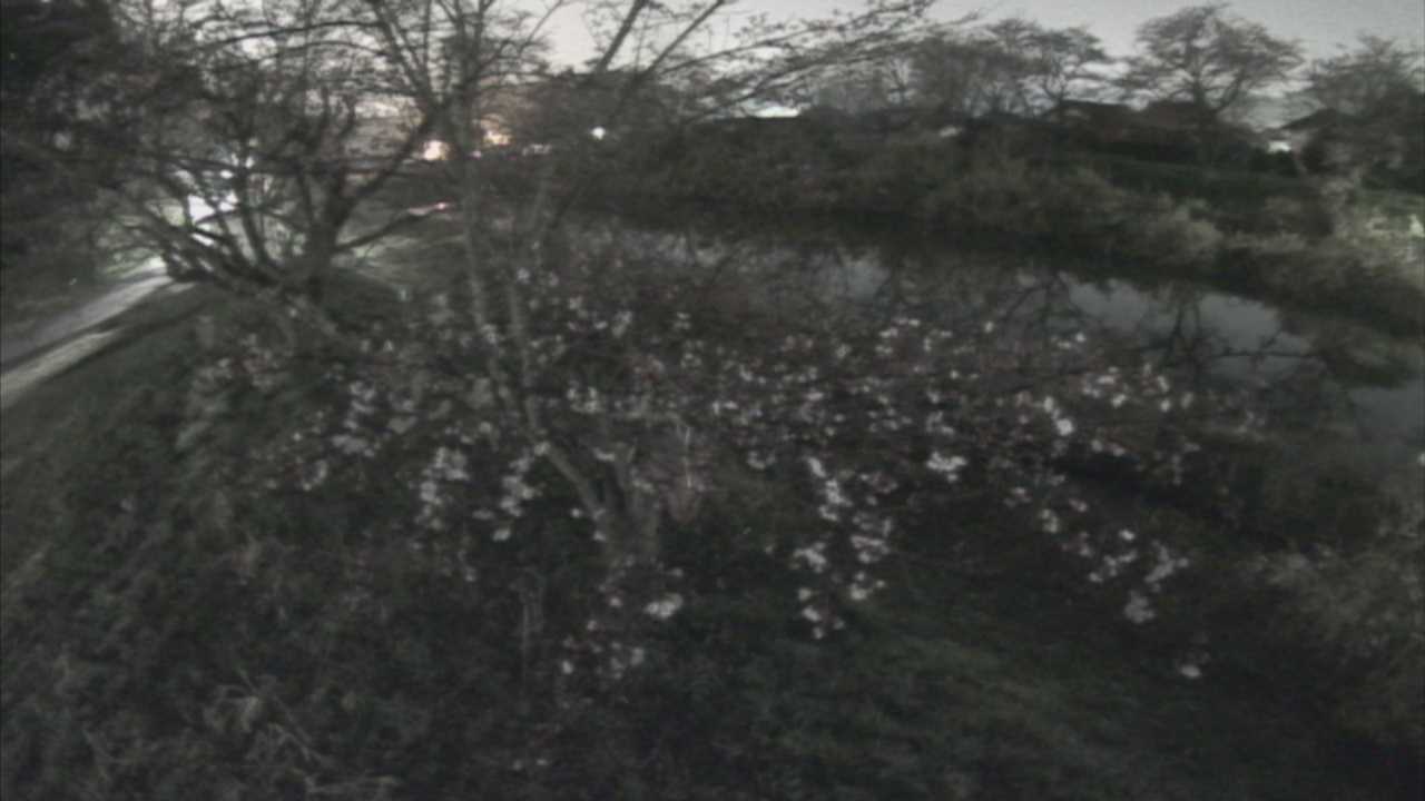 城山　法勝寺川 10k540 左岸