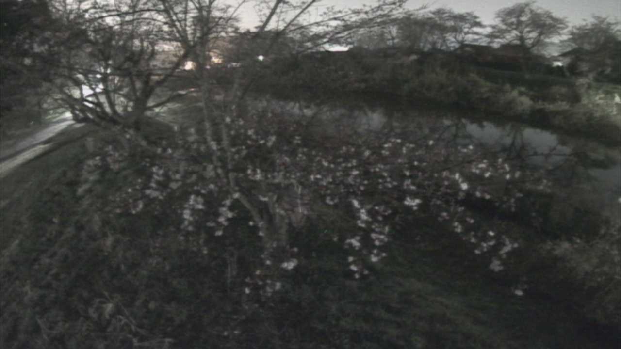 城山　法勝寺川 10k540 左岸