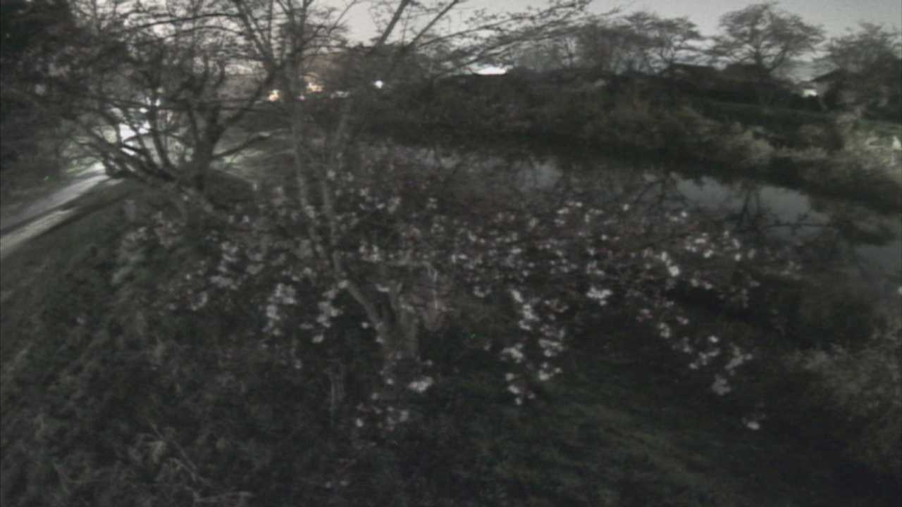 城山　法勝寺川 10k540 左岸