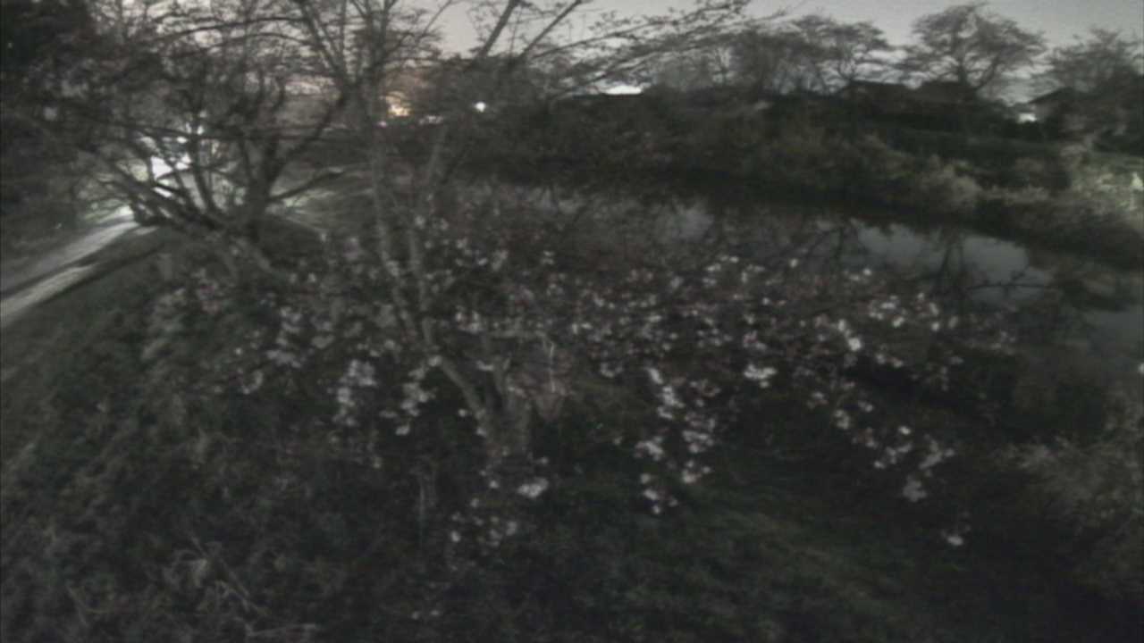 城山　法勝寺川 10k540 左岸