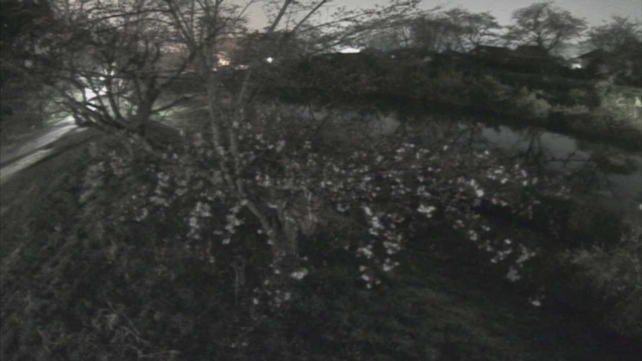 城山　法勝寺川 10k540 左岸