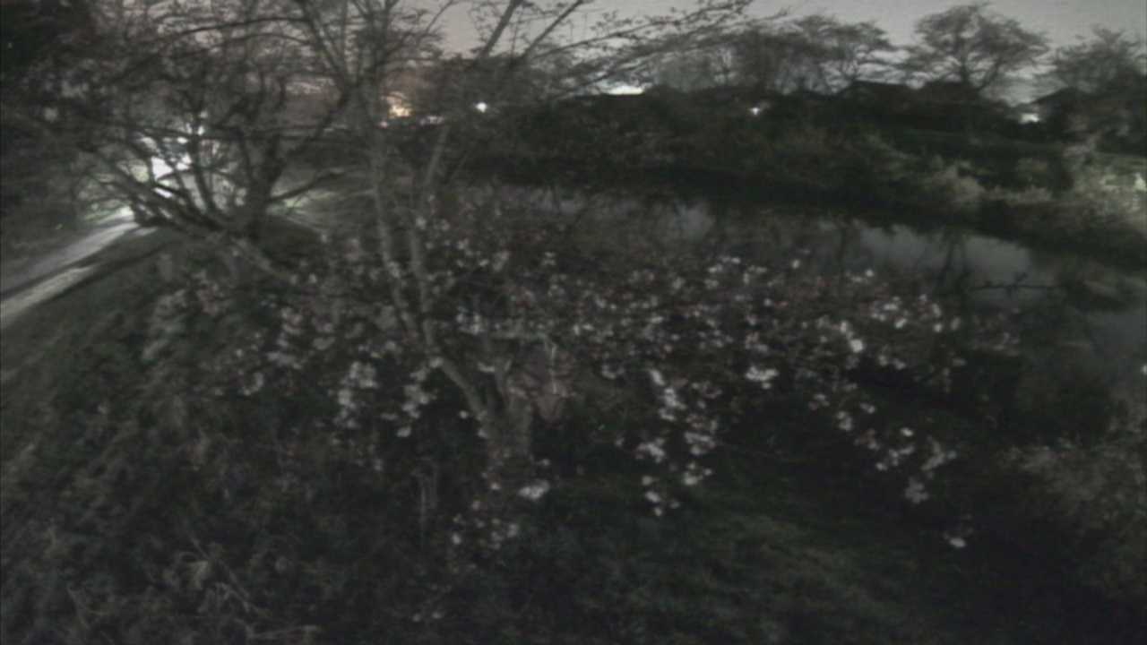 城山　法勝寺川 10k540 左岸