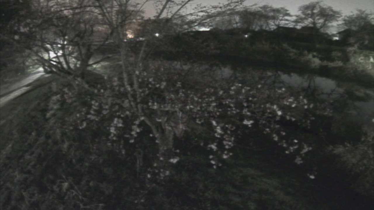 城山　法勝寺川 10k540 左岸