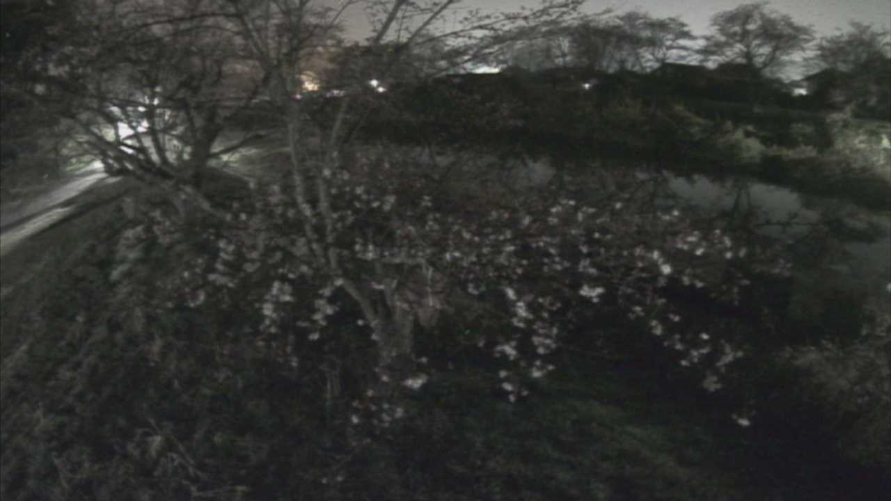 城山　法勝寺川 10k540 左岸