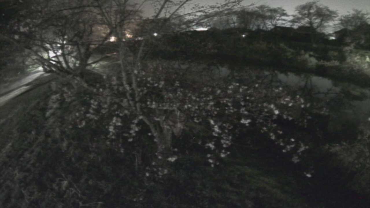 城山　法勝寺川 10k540 左岸