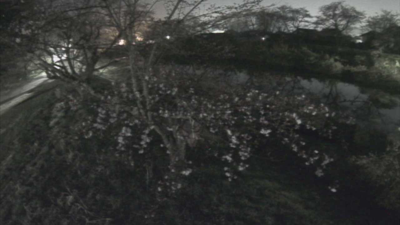 城山　法勝寺川 10k540 左岸