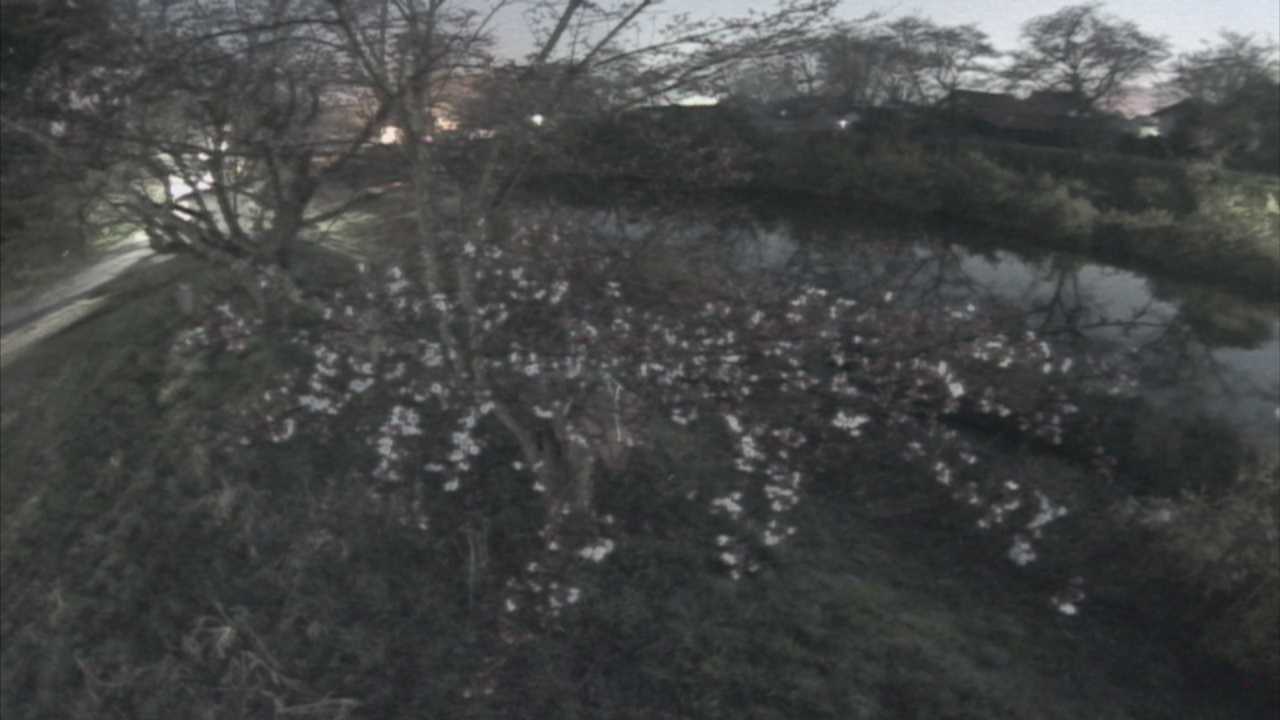 城山　法勝寺川 10k540 左岸