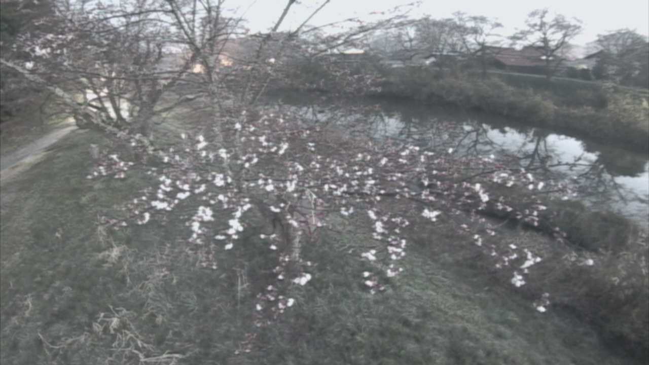 城山　法勝寺川 10k540 左岸