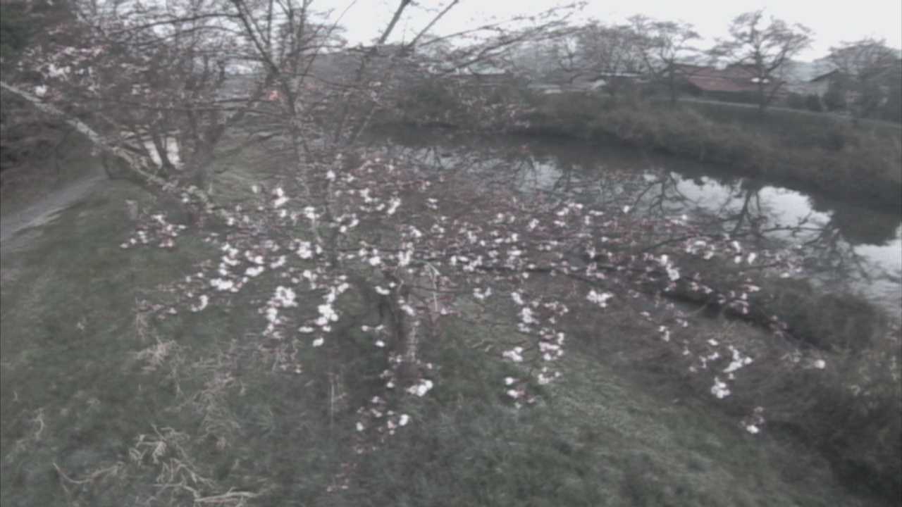 城山　法勝寺川 10k540 左岸