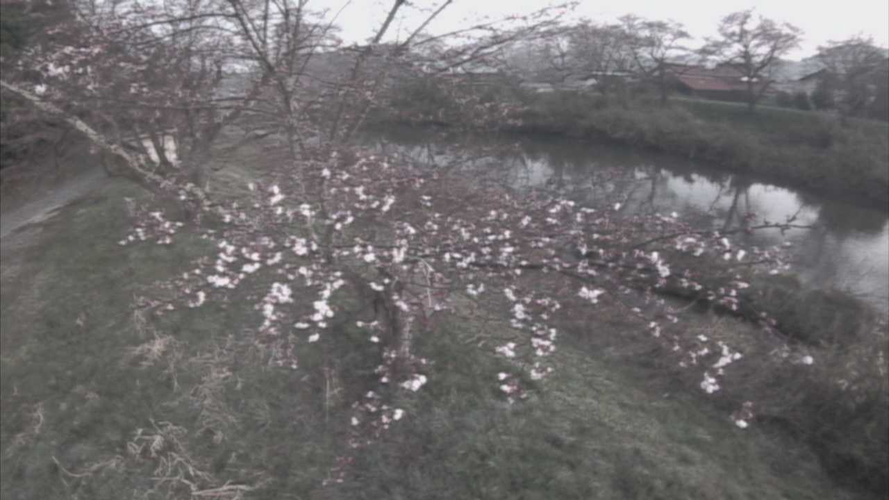 城山　法勝寺川 10k540 左岸