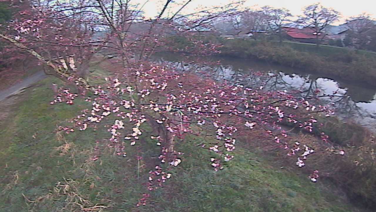 城山　法勝寺川 10k540 左岸