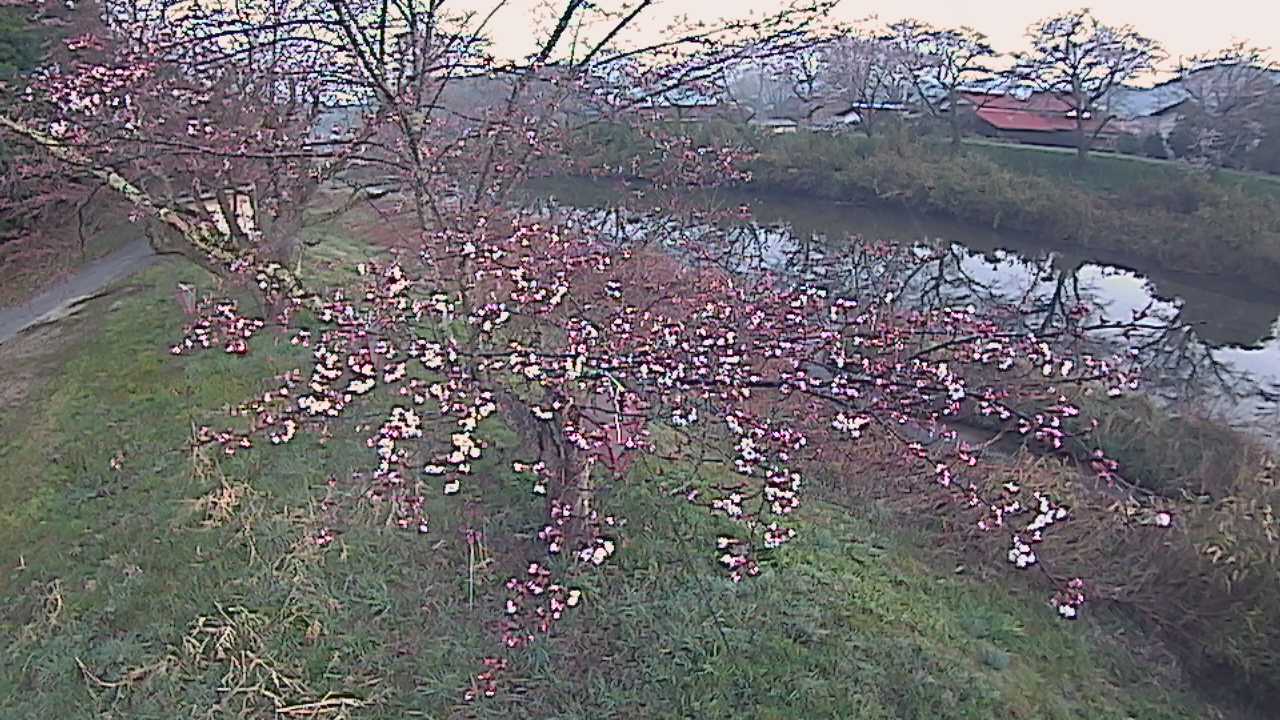 城山　法勝寺川 10k540 左岸