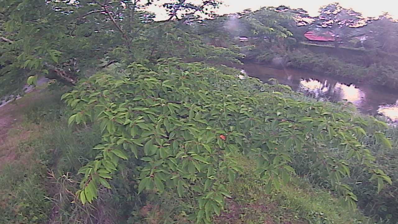 城山　法勝寺川 10k540 左岸