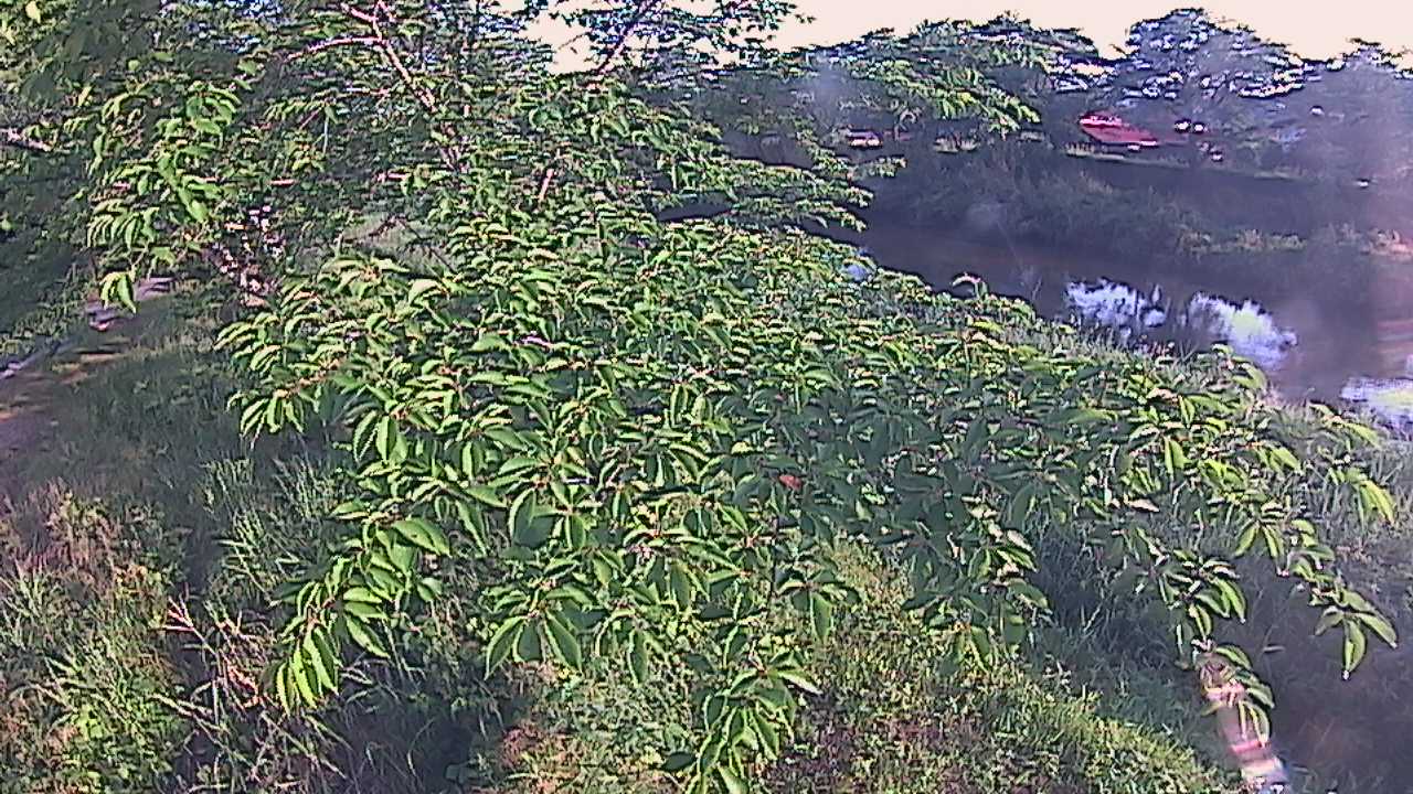 城山　法勝寺川 10k540 左岸