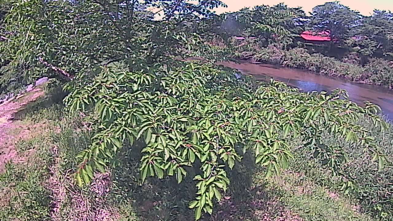 城山　法勝寺川 10k540 左岸