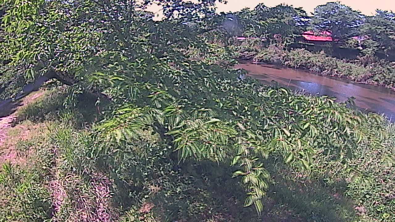 城山　法勝寺川 10k540 左岸