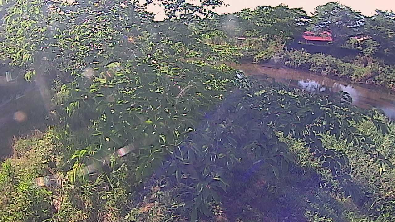 城山　法勝寺川 10k540 左岸