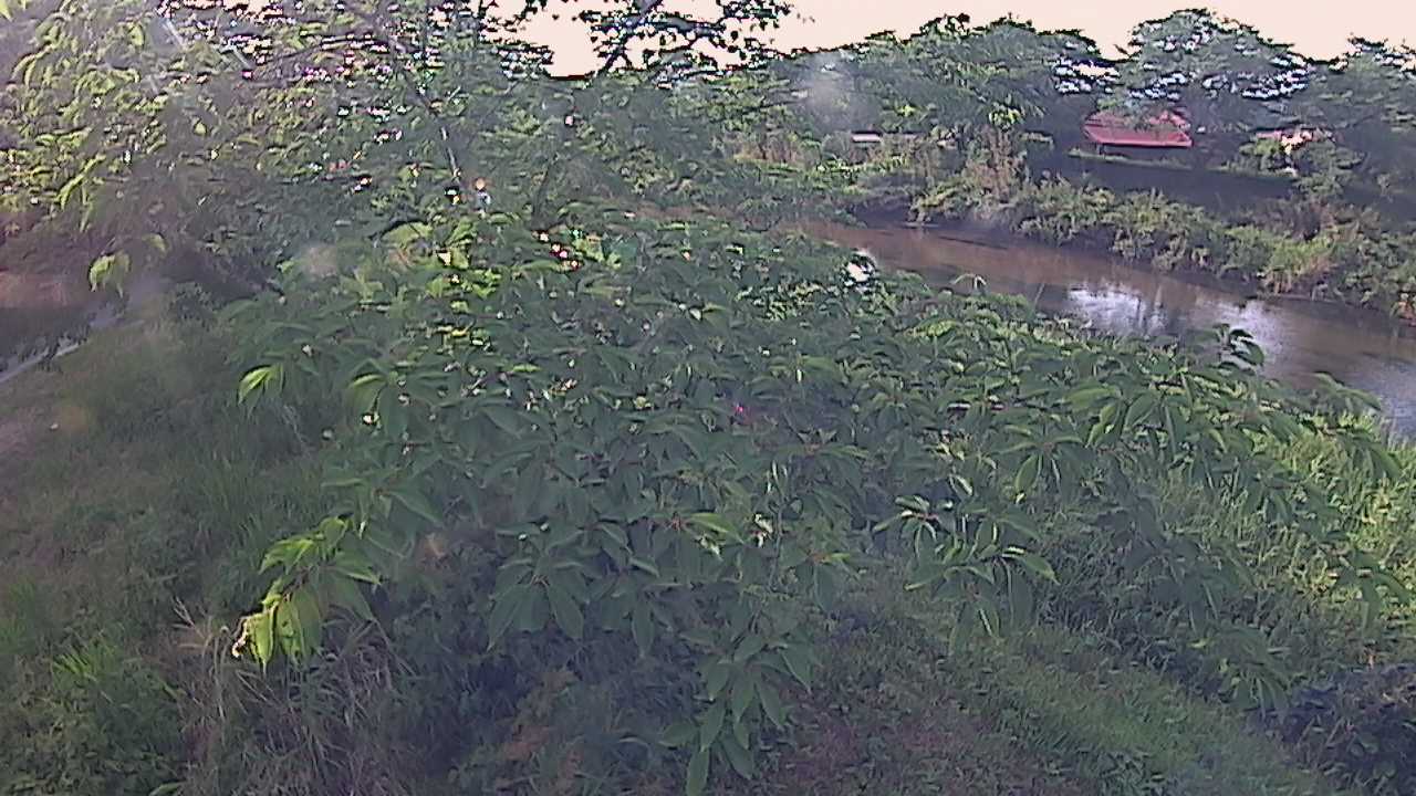 城山　法勝寺川 10k540 左岸