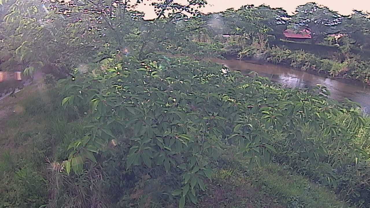 城山　法勝寺川 10k540 左岸