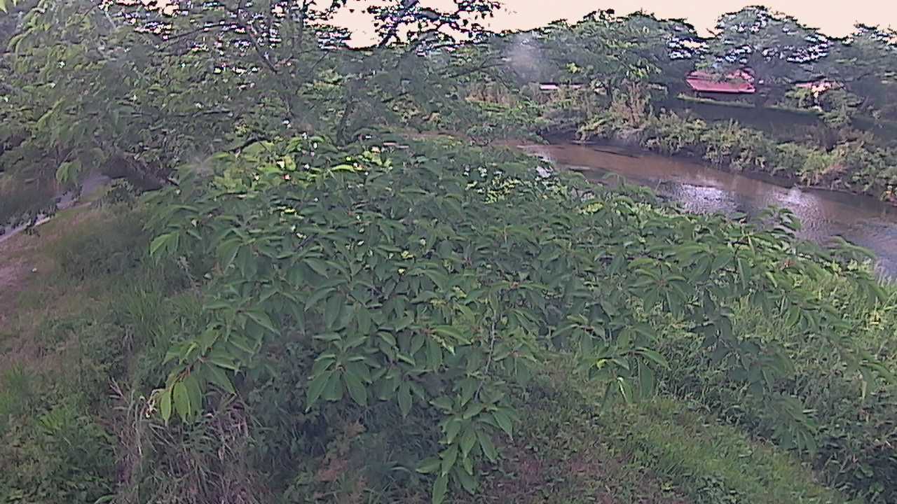 城山　法勝寺川 10k540 左岸