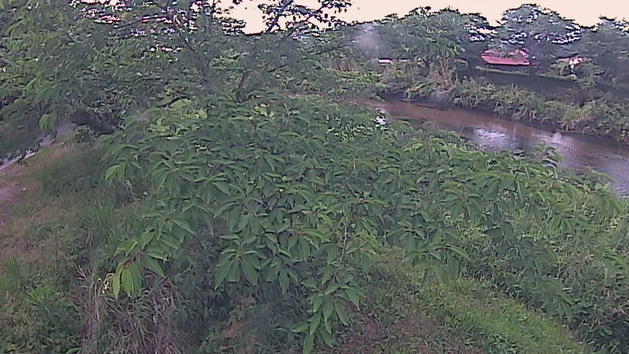 城山　法勝寺川 10k540 左岸