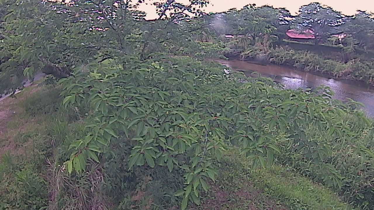 城山　法勝寺川 10k540 左岸