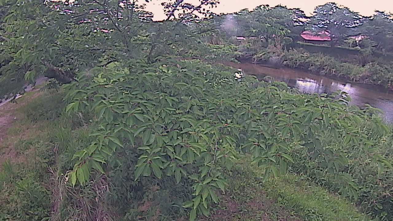 城山　法勝寺川 10k540 左岸