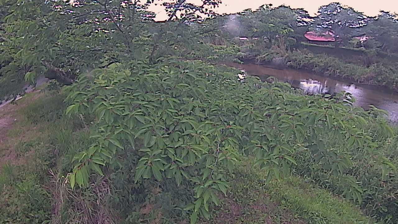 城山　法勝寺川 10k540 左岸
