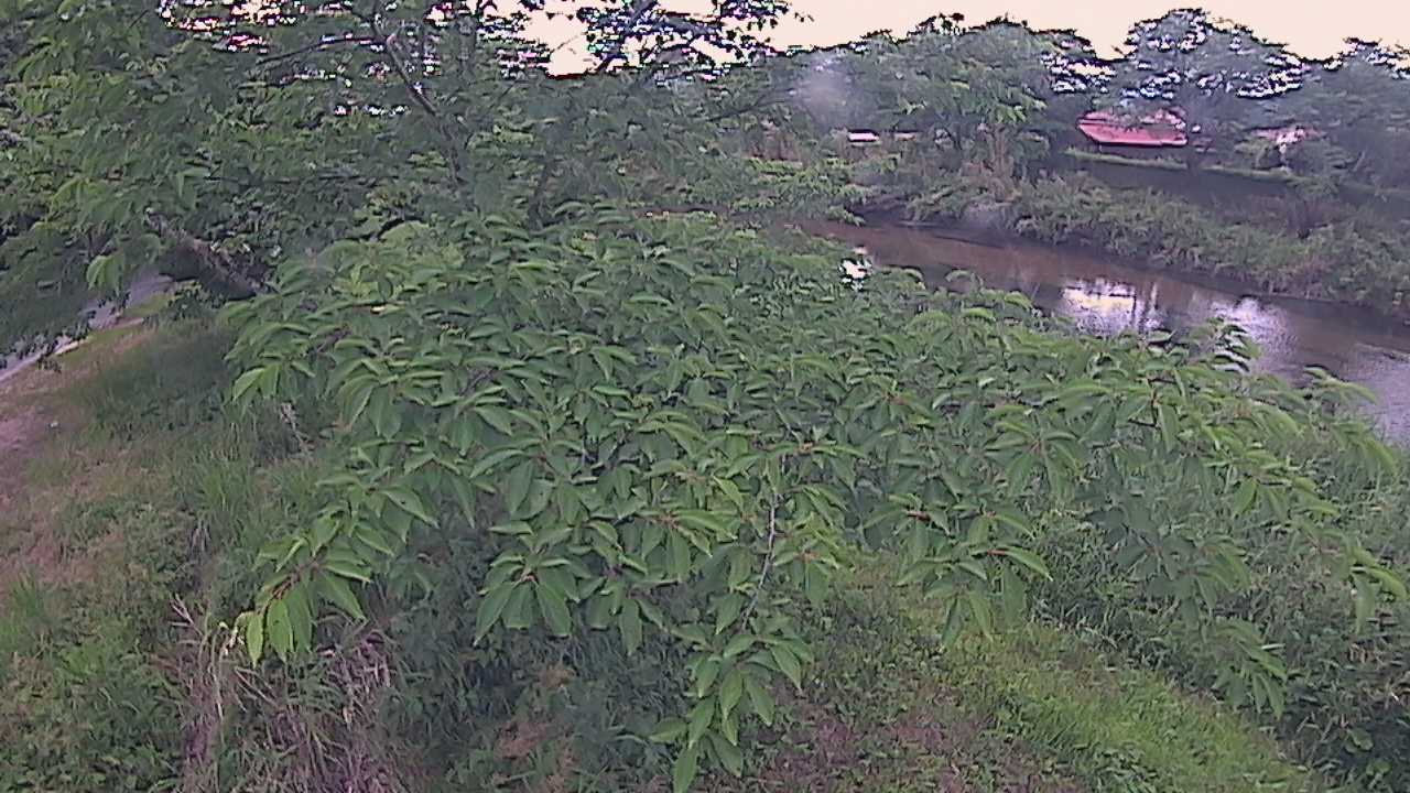 城山　法勝寺川 10k540 左岸