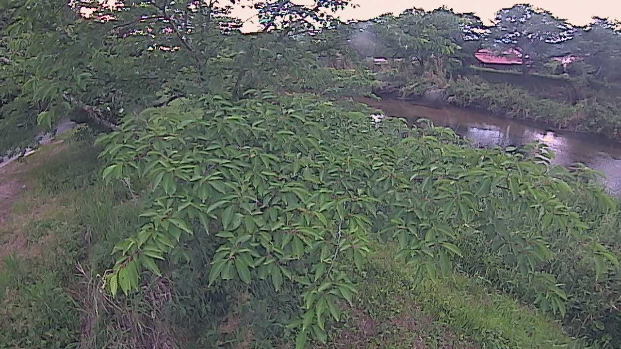 城山　法勝寺川 10k540 左岸
